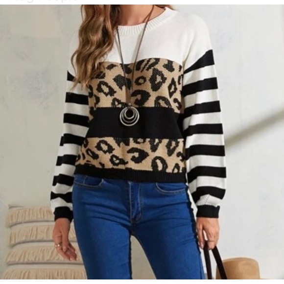🆕LAST ONE🛍 Bold Stripes Leopard Colorblock Sweater - Picture 4 of 4